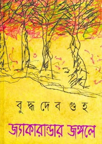 জ্যাকারান্ডার জঙ্গলে