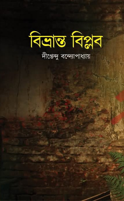 বিভ্রান্ত বিপ্লব