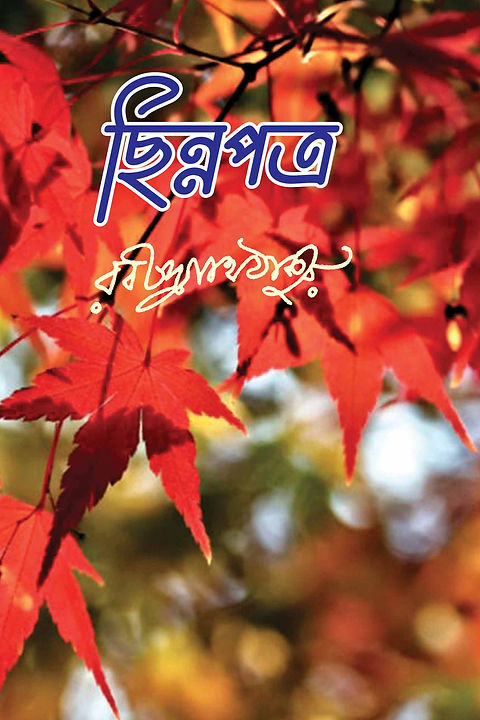 ছিন্নপত্র