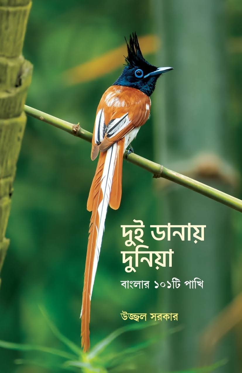 দুই ডানায় দুনিয়া