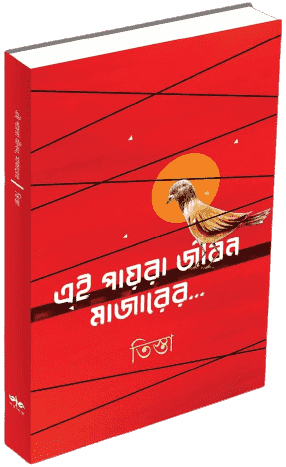 এই পায়রা জীবন মাজারের