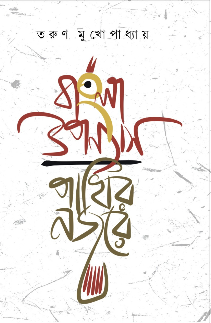 বাংলা উপন্যাস : পাখির নজরে