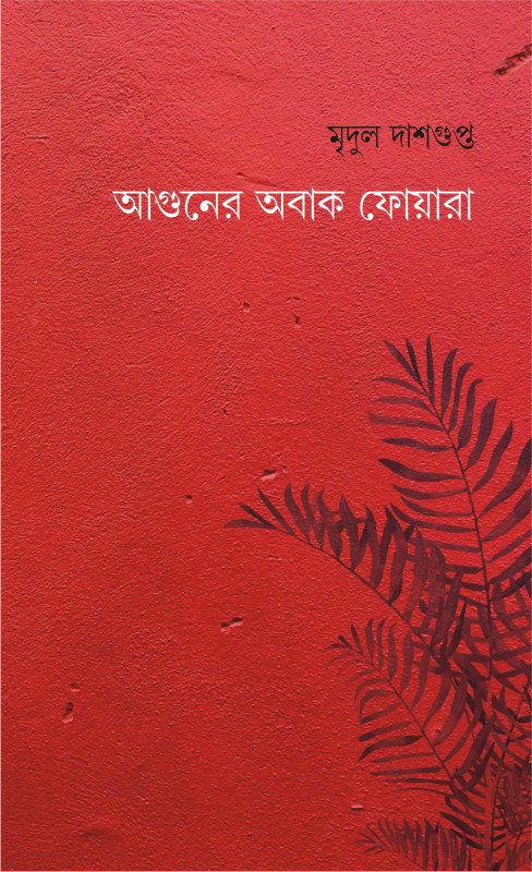 আগুনের অবাক ফোয়ারা