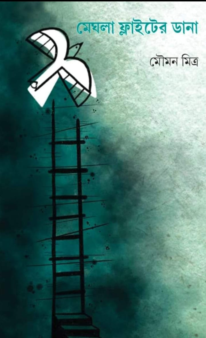 মেঘলা ফ্লাইটের ডানা