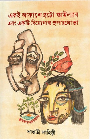 একই আকাশে দুটো স্কাইল্যাব এবং একটি বিয়োগান্ত সুপারনোভা