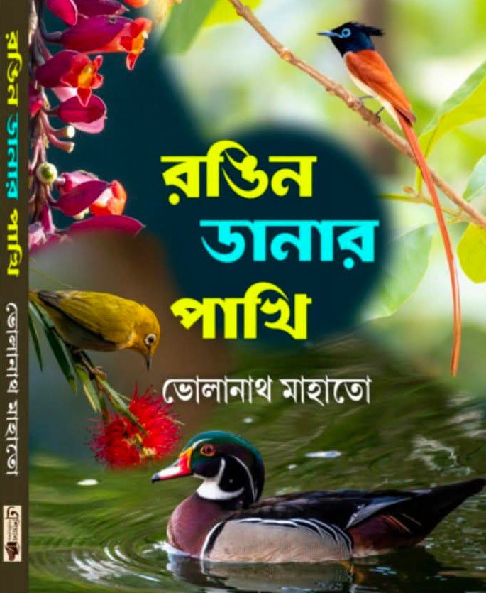রঙিন ডানার পাখি ২