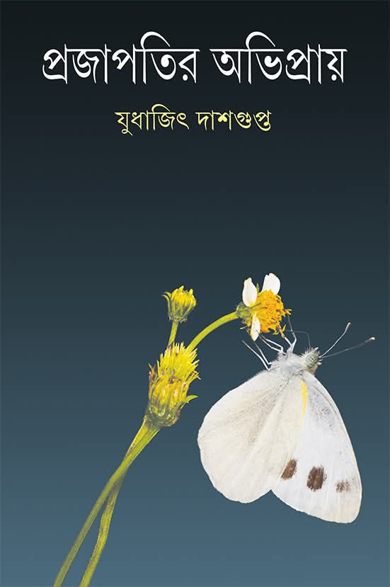 প্রজাপতির অভিপ্রায়