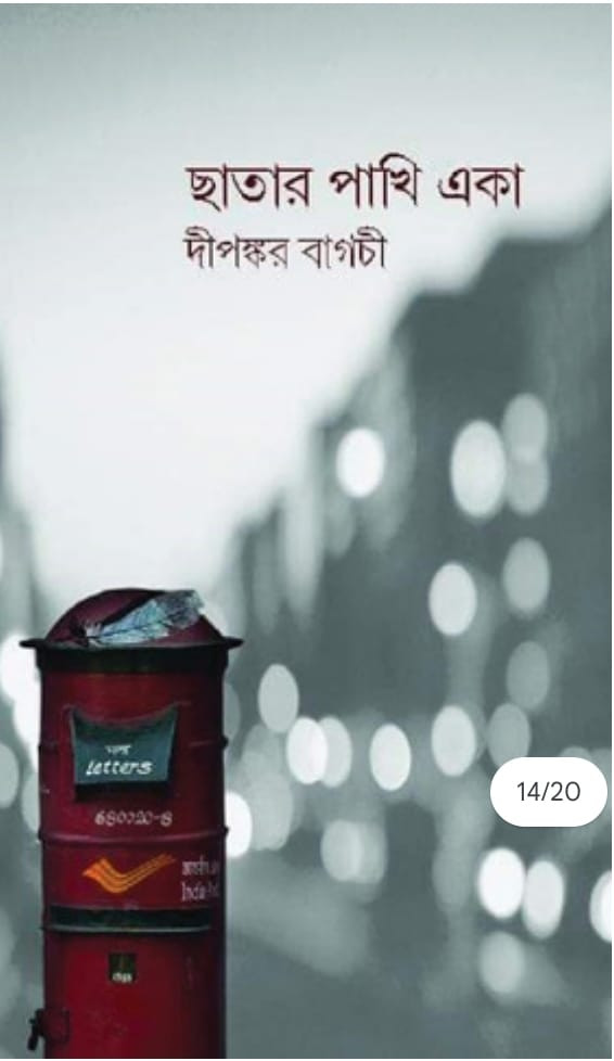 ছাতার পাখি একা