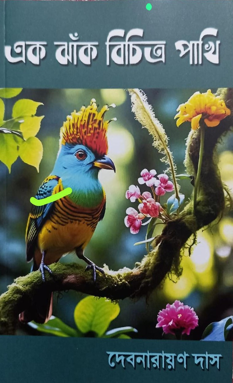 এক ঝাঁক বিচিত্র পাখি