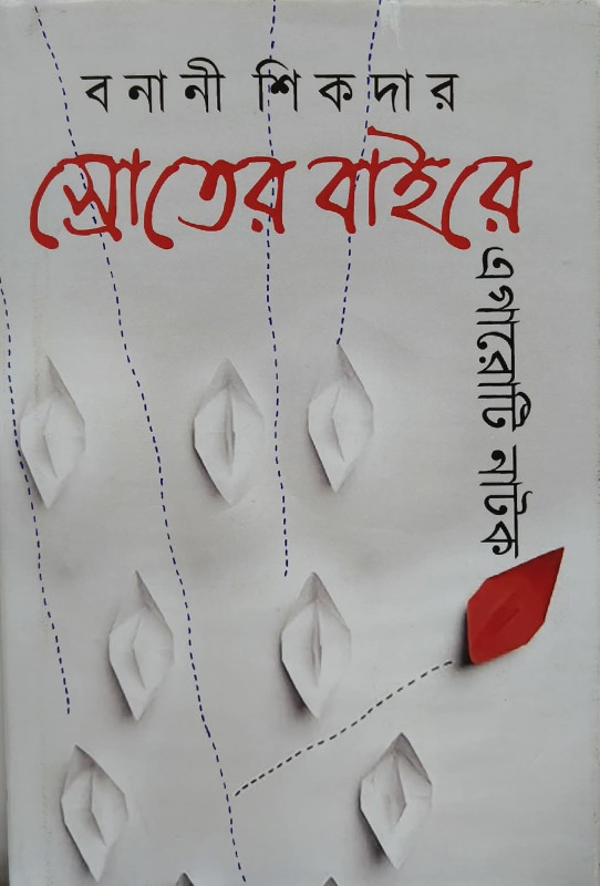 স্রোতের বাইরে : বনানী শিকদার