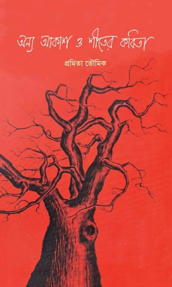 অন্য আকাশ ও শীতের কবিতা