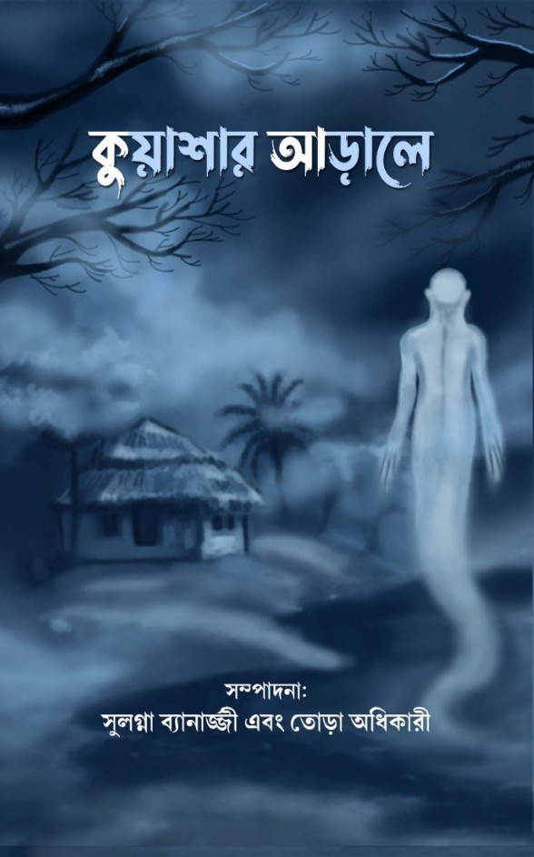 কুয়াশার আড়ালে