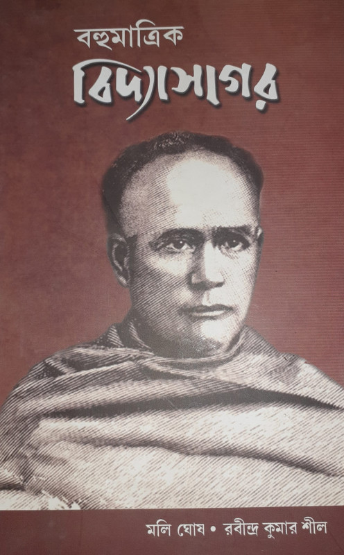 বহুমাত্রিক বিদ্যাসাগর