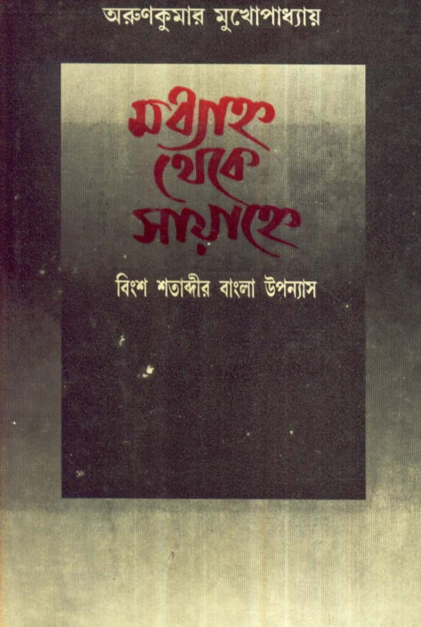 মধ্যাহ্ন থেকে সায়াহ্নে : বিংশ শতাব্দীর বাংলা উপন্যাস