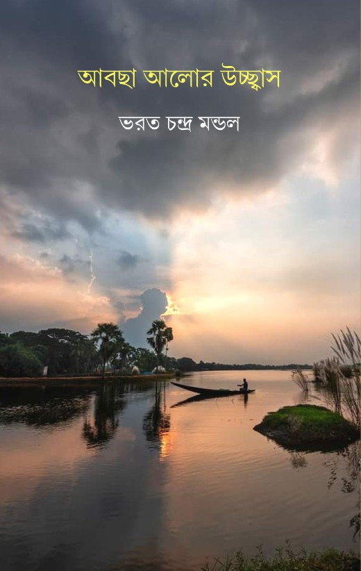 আবছা আলোর উচ্ছ্বাস