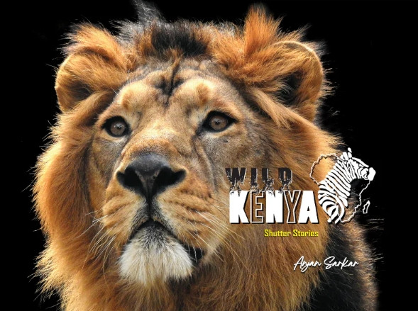 Wild Kenya : Shutter Stories