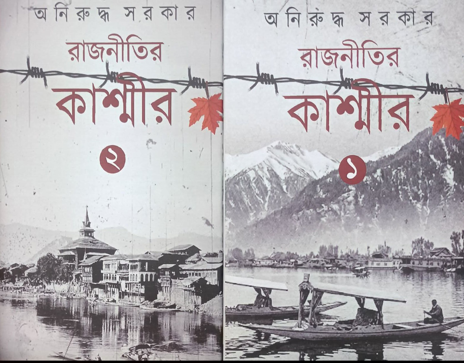 রাজনীতির কাশ্মীর ১ ও ২