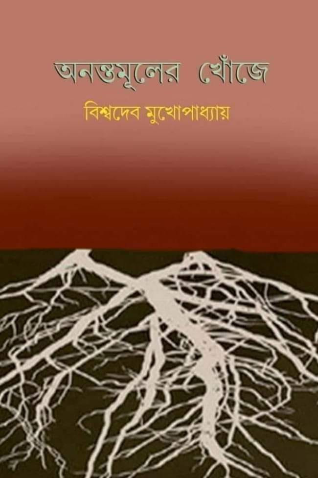 অনন্তমূলের খোঁজে