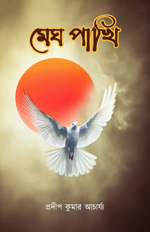 মেঘ পাখি