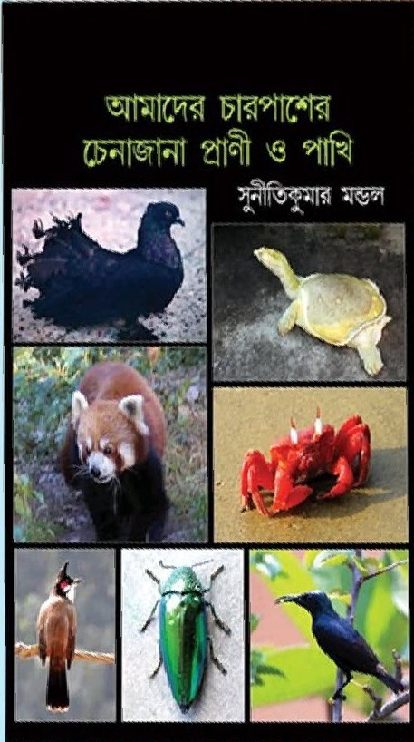 আমাদের চারপাশের চেনাজানা প্রাণী ও পাখি